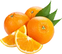 orange photo